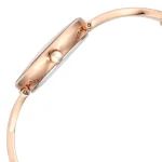 Titan Female Watch