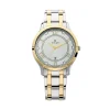 Titan Analog with Date Dial Stainless Steel Strap watch for Men