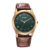 Titan Karishma Green Dial Analog Leather Strap Watch for Men - Image 2