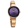 Titan Raga Showstopper Quartz Analog Purple Round Dial Rose Gold Metal Strap Watch For Women - Image 2